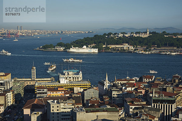 Truthuhn  Ansicht  Bosporus  Istanbul  Türkei