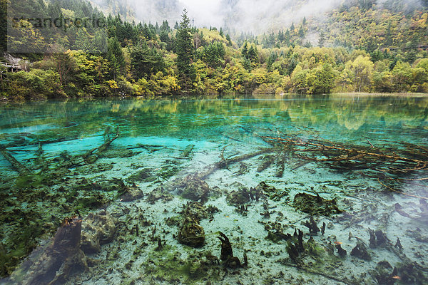 Nationalpark Farbaufnahme Farbe Wasser Tal See Laub China unglaublich kahler Baum kahl kahle Bäume Sichuan