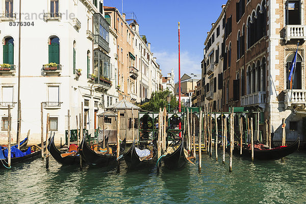 Canal Grande  Venedig  Italien