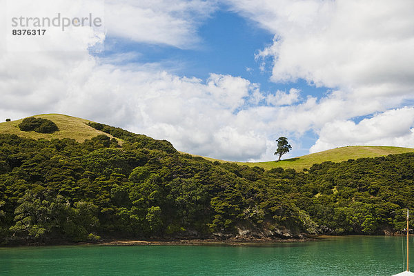 Insel  1  Bucht  Neuseeland