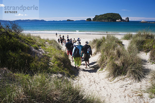 Mensch  Menschen  Strand  Menschengruppe  Menschengruppen  Gruppe  Gruppen  Küste  Menschlicher Kopf  Menschliche Köpfe  neu  Neuseeland  Halbinsel