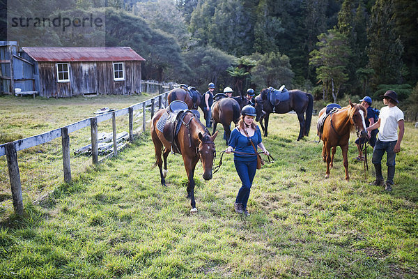 Nationalpark arbeiten Bauernhof Hof Höfe Lodge Landhaus blau reiten - Pferd Ente neu Neuseeland