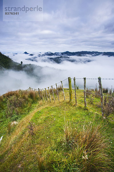 Nationalpark Morgen über Hügel Nebel Lodge Landhaus blau Ansicht Ente Neuseeland