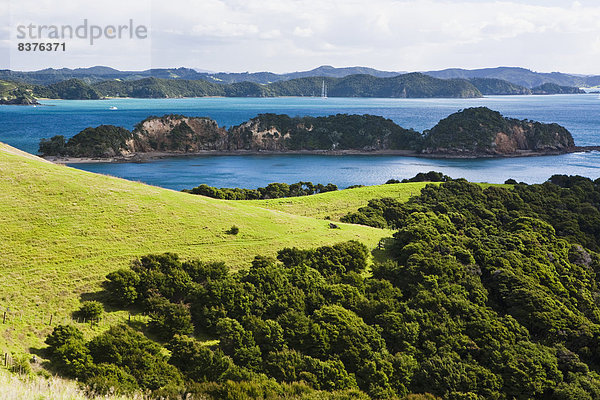 Insel  Bucht  Neuseeland