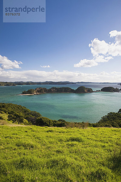 Insel  Bucht  Neuseeland