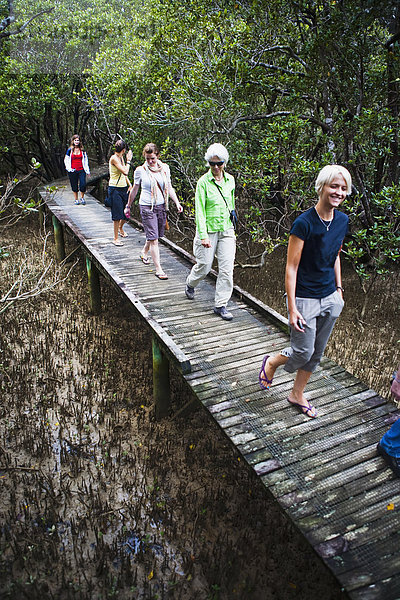 Spur Frau gehen Eingang Wald Mangrove