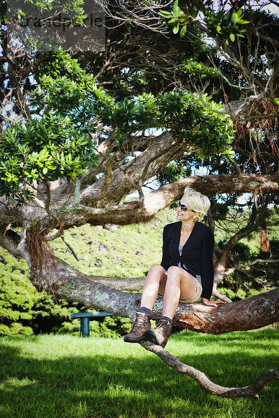 Frau  sitzend  Baum  Insel  jung  Bucht  Neuseeland