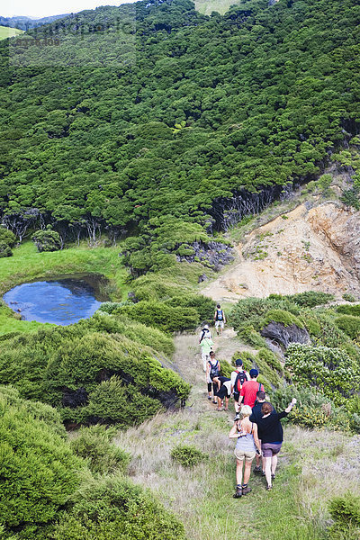 gehen  folgen  Tourist  Insel  Neuseeland