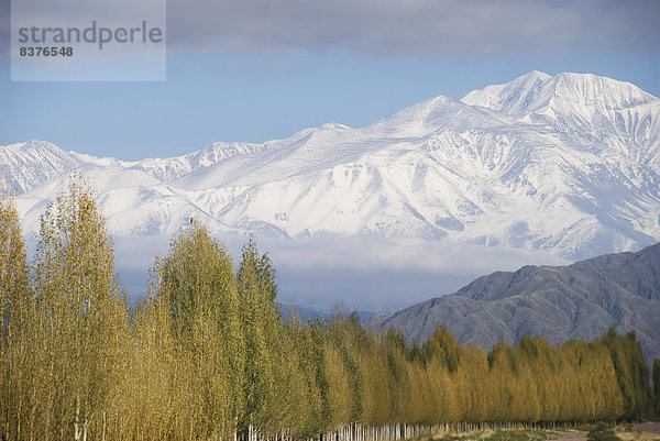 Berg Fokus auf den Vordergrund Fokus auf dem Vordergrund bedecken Argentinien Mendoza Schnee