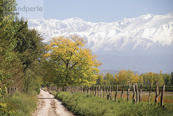 Berg Baum Bauernhof Hof Höfe Fernverkehrsstraße Hintergrund bedecken Argentinien Mendoza Schnee