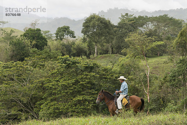 Mann  Baum  Landschaft  fahren  füllen  füllt  füllend  reiten - Pferd  Guatemala