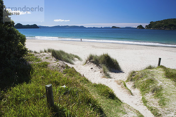 Strand  Küste  Neuseeland  Halbinsel