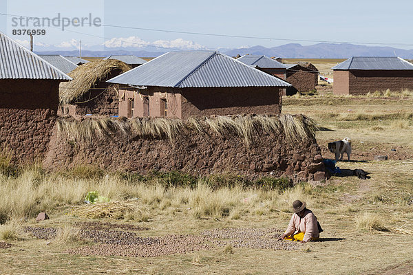 nahe  Frau  Kälte  Produktion  Kartoffel  Puno  getrocknet  Peru