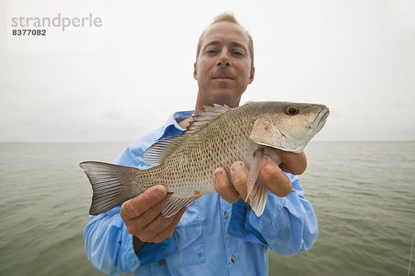Vereinigte Staaten von Amerika  USA  zeigen  Fisch  Pisces  Mann  Stolz  Frische  fangen  Florida