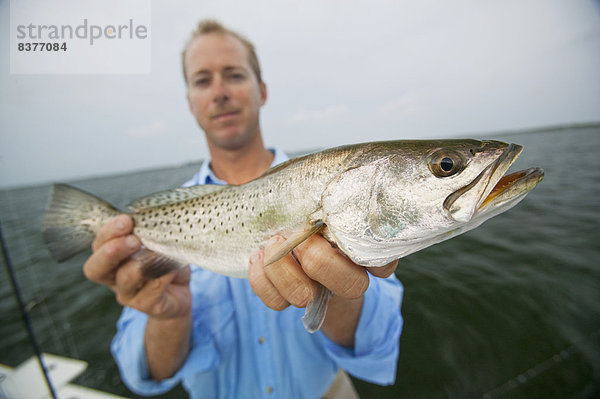 Vereinigte Staaten von Amerika  USA  zeigen  Fisch  Pisces  Mann  Stolz  Frische  fangen  Florida