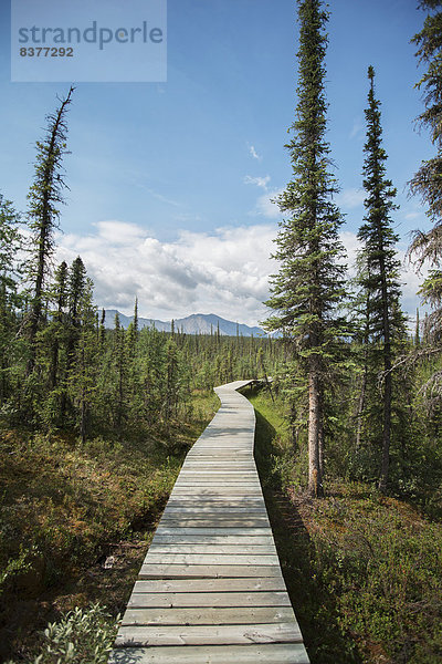 führen Campingplatz Holzweg Kanada Northwest Territories