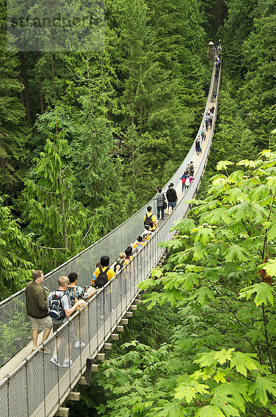gehen  Tourist  Brücke  hängen  Vancouver  British Columbia  Kanada