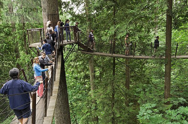 gehen  Tourist  Brücke  hängen  Vancouver  British Columbia  Kanada