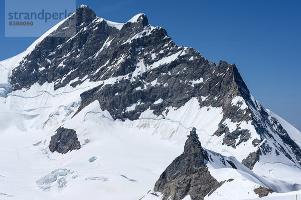 Alpen Kanton Bern Aletschgletscher UNESCO-Welterbe schweizerisch Schweiz