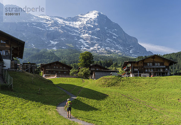 Alpen Aletschgletscher UNESCO-Welterbe Grindelwald schweizerisch Schweiz Kanton Bern