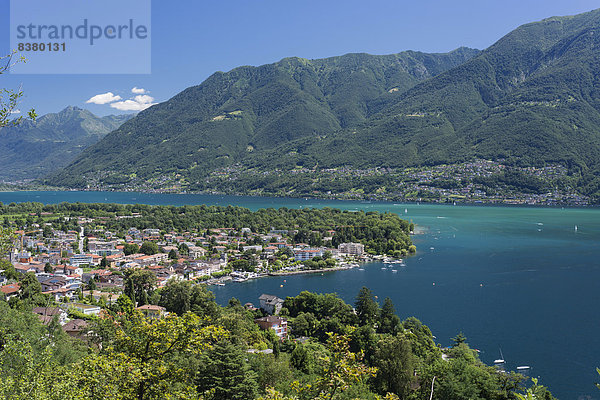 über See Ansicht Langensee Lago Maggiore Ascona Schweiz Kanton Tessin