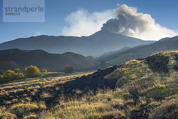 Eruptionssäule über dem neuen Nordostkrater  vorne ein bewachsenes Lavafeld  Nordseite  Vulkan Ätna  bei Randazzo  Sizilien  Italien