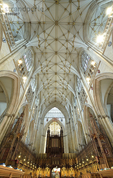 Chorraum  Orgel von Elliott und Hill  Netzrippengewölbe  York Minster  York  North Yorkshire  England  Großbritannien
