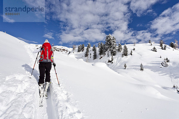 Skitourengeher beim Aufstieg auf den Cima Juribrutto  Dolomiten  Trentino  Italien