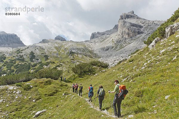 Wanderer auf einem Pfad  Brenta-Überschreitung am Passo della Gaiarda  Berg Cima Gaiarda  Brenta-Gebirge  near Molveno  Provinz Südtirol  Trentino-Südtirol  Italien