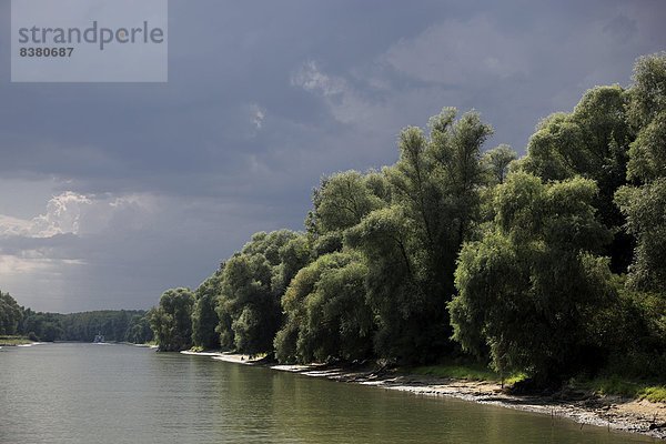 Die Donau  Biosphärenreservat Donaudelta  bei Tulcea  Rumänien