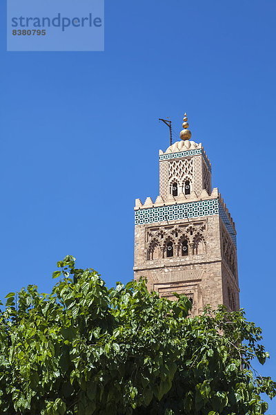 Nordafrika  Afrika  Koutoubia-Moschee  Marrakesch  Marokko