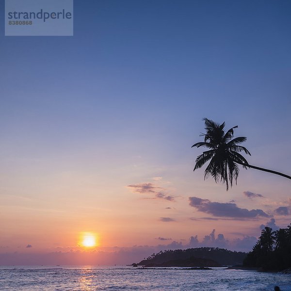 Tropisch  Tropen  subtropisch  Strand  Sonnenuntergang  Baum  Palme  Asien  Sri Lanka