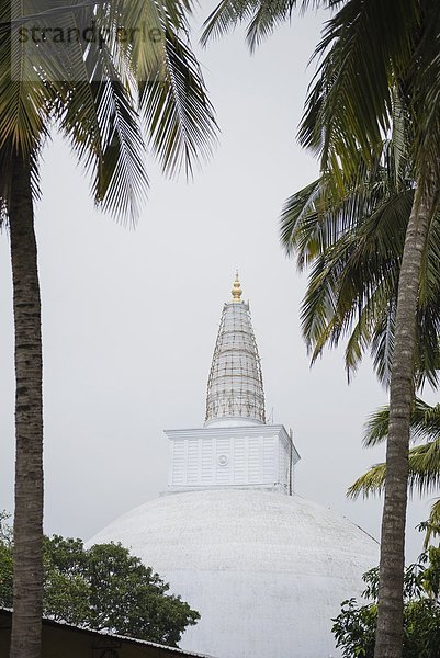 hoch  oben  nahe  groß  großes  großer  große  großen  UNESCO-Welterbe  Anuradhapura  Asien  Kloster  Sri Lanka