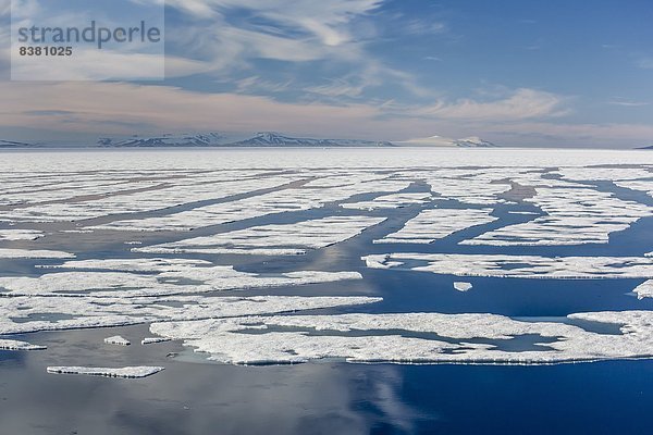 Europa  offen  führen  Meer  Eis  Norwegen  Spitzbergen  Skandinavien  Meerenge  Svalbard  Jahr