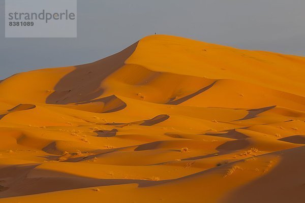 Nordafrika  Düne  Afrika  Merzouga  Marokko