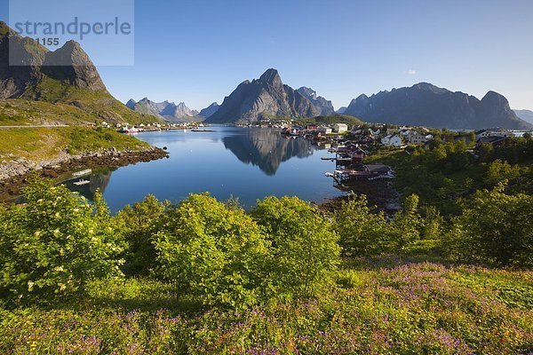 Europa  Dorf  Norwegen  angeln  Sehenswürdigkeit  Lofoten  Moskenesoy  nordland  Reine  Skandinavien