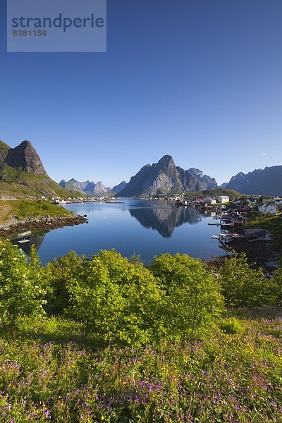 Europa  Dorf  Norwegen  angeln  Sehenswürdigkeit  Lofoten  Moskenesoy  nordland  Reine  Skandinavien