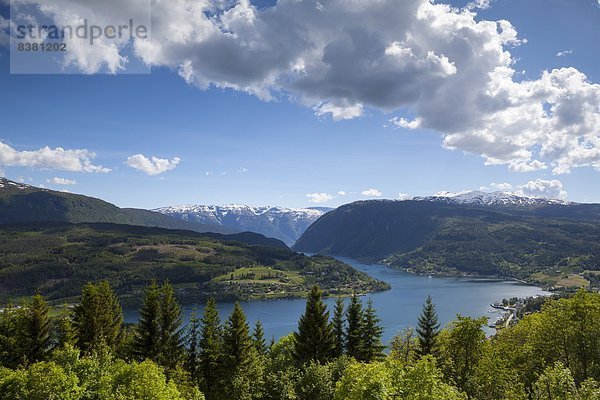 Europa  über  Norwegen  Ansicht  Erhöhte Ansicht  Aufsicht  heben  Sehenswürdigkeit  Fjord  Hordaland  Skandinavien