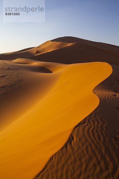 Nordafrika  Düne  Afrika  Merzouga  Marokko