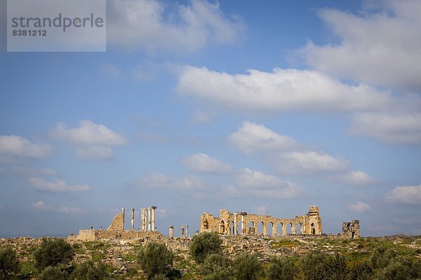 Volubilis  UNESCO World Heritage Site  Marokko  Nordafrika  Afrika