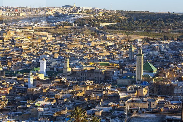 Nordafrika  Fès  Fez  Ansicht  Erhöhte Ansicht  Aufsicht  heben  UNESCO-Welterbe  Afrika  Fes  Marokko  alt