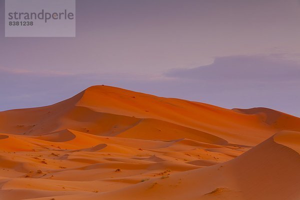 Nordafrika  Düne  Afrika  Merzouga  Marokko