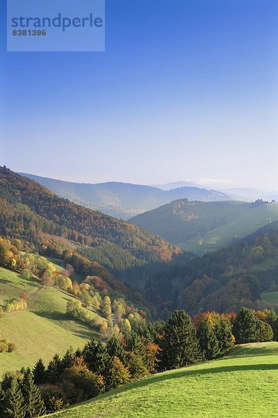 Europa  über  Tal  Herbst  Ansicht  Schwarzwald  Deutschland