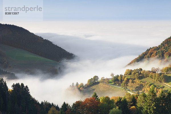 Europa  Schwarzwald  Deutschland