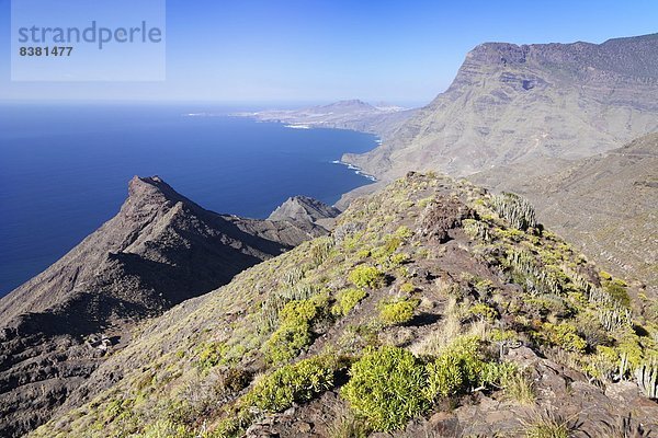 Europa  Berg  Küste  Atlantischer Ozean  Atlantik  Kanaren  Kanarische Inseln  Felsenküste  Gran Canaria  Spanien  Westen