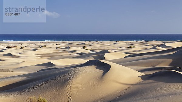 Panorama  Europa  Sand  Atlantischer Ozean  Atlantik  Kanaren  Kanarische Inseln  Düne  Gran Canaria  Maspalomas  Spanien