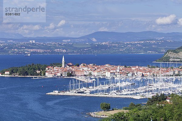 hoch  oben  Hafen  Europa  Stadt  Ansicht  Flachwinkelansicht  Winkel  Istrien  alt  Slowenien