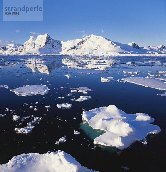 Eis  Antarktis  Eisscholle  Halbinsel