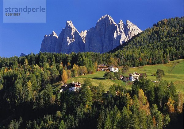 Dolomiten  Aldo Trentino Südtirol  Italien