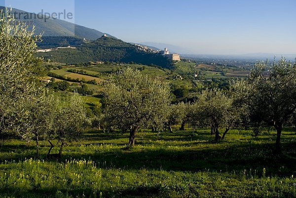 entfernt  Europa  Kirche  Ansicht  Assisi  Distanz  Italien  Umbrien